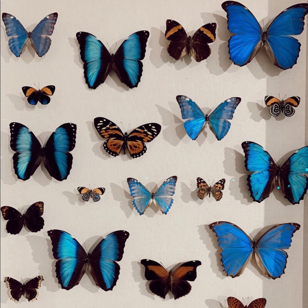 Meet your Posher, Isabelle